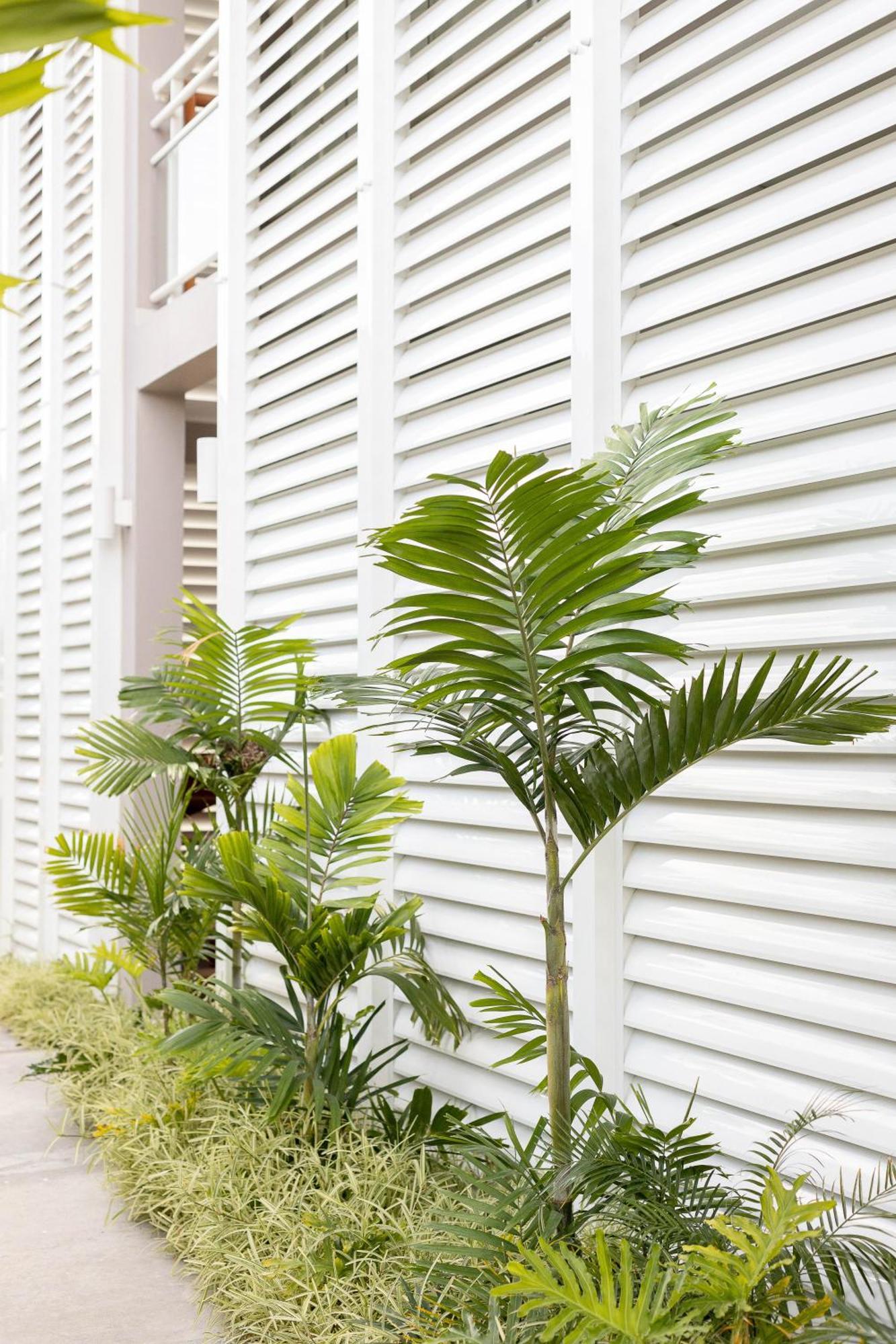 Eden Roc Appartements Le Diamant Exterior photo